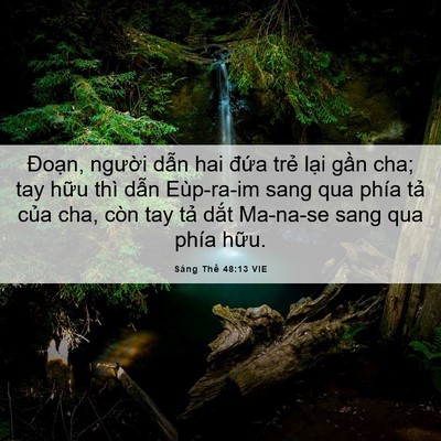 Picture 06 - Sáng Thế 48:13 VIE - Đoạn, người dẫn hai đứa trẻ lại - Bible Verse Picture