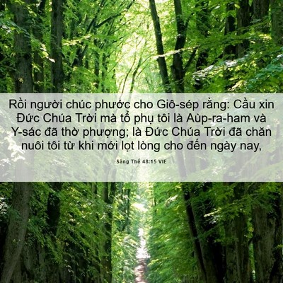 Picture 06 - Sáng Thế 48:15 VIE - Rồi người chúc phước cho Giô-sép - Bible Verse Picture
