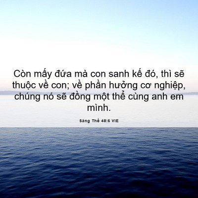Picture 06 - Sáng Thế 48:6 VIE - Còn mấy đứa mà con sanh kế đó, thì - Bible Verse Picture