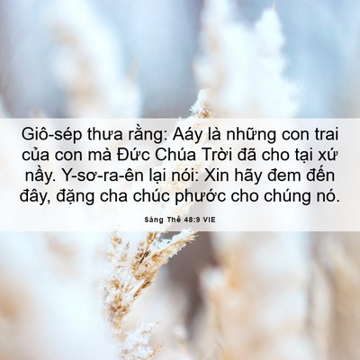 Picture 06 - Sáng Thế 48:9 VIE - Giô-sép thưa rằng: Aáy là những con trai - Bible Verse Picture