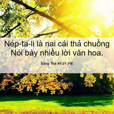 Picture 06 - Sáng Thế 49:21 VIE - Nép-ta-li là nai cái thả chuồng Nói bày - Bible Verse Picture