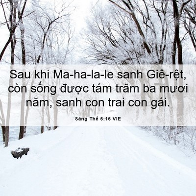 Picture 06 - Sáng Thế 5:16 VIE - Sau khi Ma-ha-la-le sanh Giê-rệt, còn sống - Bible Verse Picture