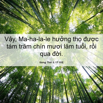 Picture 06 - Sáng Thế 5:17 VIE - Vậy, Ma-ha-la-le hưởng thọ được tám - Bible Verse Picture