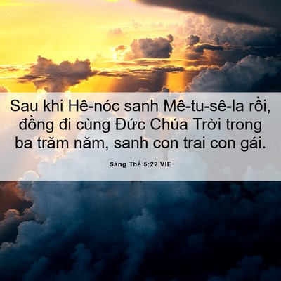 Picture 06 - Sáng Thế 5:22 VIE - Sau khi Hê-nóc sanh Mê-tu-sê-la rồi, - Bible Verse Picture