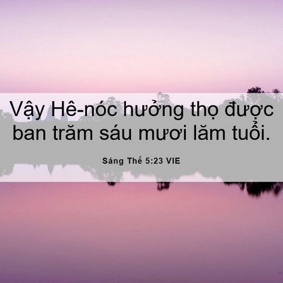 Picture 06 - Sáng Thế 5:23 VIE - Vậy Hê-nóc hưởng thọ được ban trăm - Bible Verse Picture