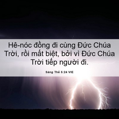 Picture 06 - Sáng Thế 5:24 VIE - Hê-nóc đồng đi cùng Đức Chúa Trời, - Bible Verse Picture