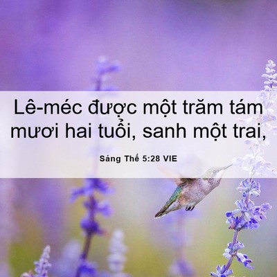 Picture 06 - Sáng Thế 5:28 VIE - Lê-méc được một trăm tám mươi hai - Bible Verse Picture