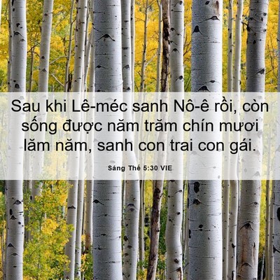 Picture 06 - Sáng Thế 5:30 VIE - Sau khi Lê-méc sanh Nô-ê rồi, còn sống - Bible Verse Picture