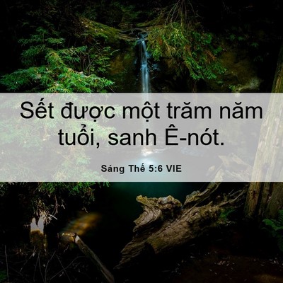 Picture 06 - Sáng Thế 5:6 VIE - Sết được một trăm năm tuổi, sanh - Bible Verse Picture