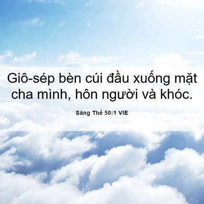 Picture 06 - Sáng Thế 50:1 VIE - Giô-sép bèn cúi đầu xuống mặt cha - Bible Verse Picture