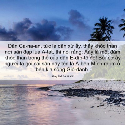 Picture 06 - Sáng Thế 50:11 VIE - Dân Ca-na-an, tức là dân xứ ấy, thấy - Bible Verse Picture
