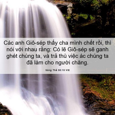 Picture 06 - Sáng Thế 50:15 VIE - Các anh Giô-sép thấy cha mình chết rồi, - Bible Verse Picture