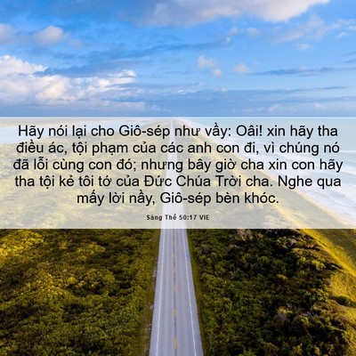 Picture 06 - Sáng Thế 50:17 VIE - Hãy nói lại cho Giô-sép như vầy: Oâi! - Bible Verse Picture