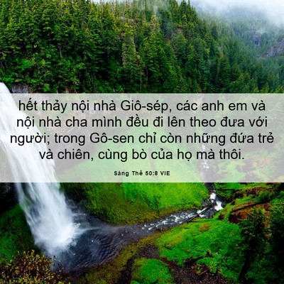 Picture 06 - Sáng Thế 50:8 VIE - hết thảy nội nhà Giô-sép, các anh em - Bible Verse Picture