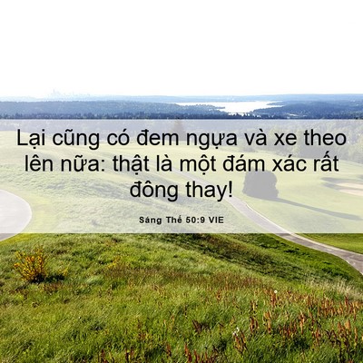 Picture 06 - Sáng Thế 50:9 VIE - Lại cũng có đem ngựa và xe theo lên - Bible Verse Picture