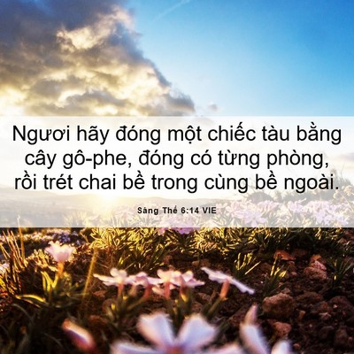 Picture 06 - Sáng Thế 6:14 VIE - Ngươi hãy đóng một chiếc tàu bằng - Bible Verse Picture