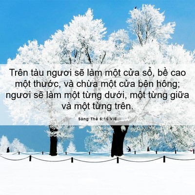 Picture 06 - Sáng Thế 6:16 VIE - Trên tàu ngươi sẽ làm một cửa sổ, - Bible Verse Picture