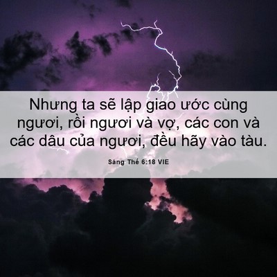 Picture 06 - Sáng Thế 6:18 VIE - Nhưng ta sẽ lập giao ước cùng ngươi, - Bible Verse Picture