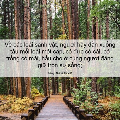 Picture 06 - Sáng Thế 6:19 VIE - Về các loài sanh vật, ngươi hãy dẫn - Bible Verse Picture
