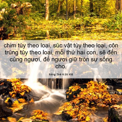 Picture 06 - Sáng Thế 6:20 VIE - chim tùy theo loại, súc vật tùy theo - Bible Verse Picture