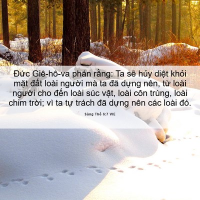 Picture 06 - Sáng Thế 6:7 VIE - Đức Giê-hô-va phán rằng: Ta sẽ hủy - Bible Verse Picture