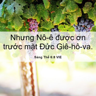 Picture 06 - Sáng Thế 6:8 VIE - Nhưng Nô-ê được ơn trước mặt Đức - Bible Verse Picture