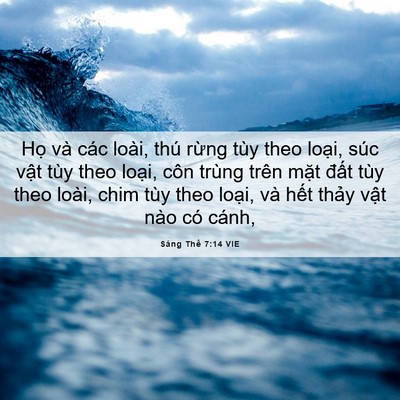 Picture 06 - Sáng Thế 7:14 VIE - Họ và các loài, thú rừng tùy theo - Bible Verse Picture