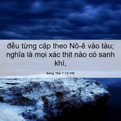 Picture 06 - Sáng Thế 7:15 VIE - đều từng cặp theo Nô-ê vào tàu; nghĩa - Bible Verse Picture