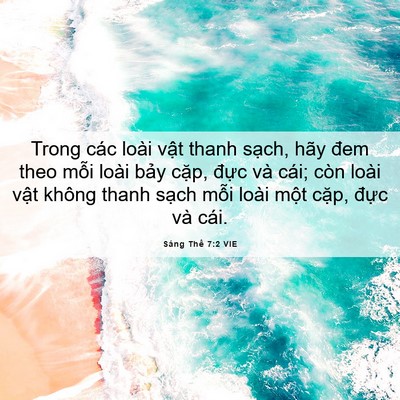 Picture 06 - Sáng Thế 7:2 VIE - Trong các loài vật thanh sạch, hãy đem - Bible Verse Picture