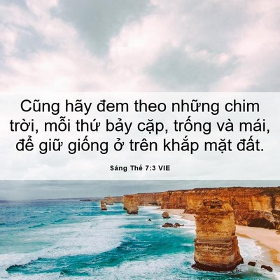 Picture 06 - Sáng Thế 7:3 VIE - Cũng hãy đem theo những chim trời, mỗi - Bible Verse Picture