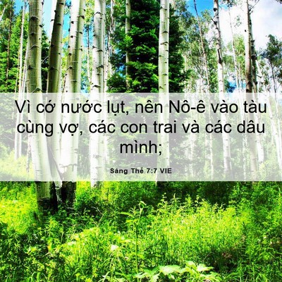 Picture 06 - Sáng Thế 7:7 VIE - Vì cớ nước lụt, nên Nô-ê vào tàu - Bible Verse Picture