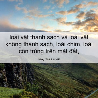 Picture 06 - Sáng Thế 7:8 VIE - loài vật thanh sạch và loài vật không - Bible Verse Picture