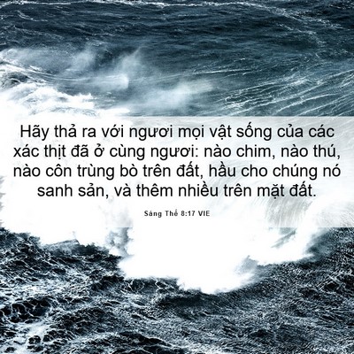 Picture 06 - Sáng Thế 8:17 VIE - Hãy thả ra với ngươi mọi vật sống - Bible Verse Picture