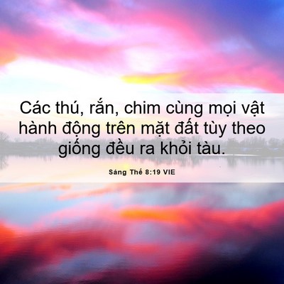 Picture 06 - Sáng Thế 8:19 VIE - Các thú, rắn, chim cùng mọi vật hành - Bible Verse Picture