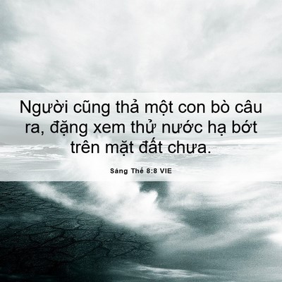 Picture 06 - Sáng Thế 8:8 VIE - Người cũng thả một con bò câu ra, - Bible Verse Picture