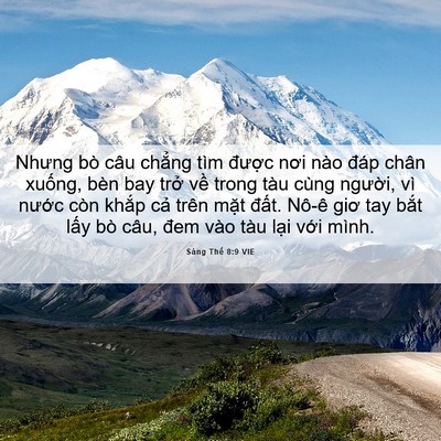 Picture 06 - Sáng Thế 8:9 VIE - Nhưng bò câu chẳng tìm được nơi nào - Bible Verse Picture