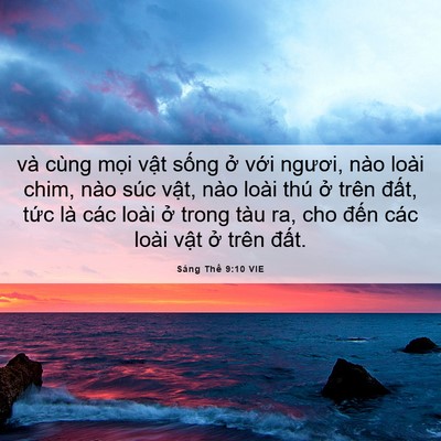 Picture 06 - Sáng Thế 9:10 VIE - và cùng mọi vật sống ở với ngươi, - Bible Verse Picture