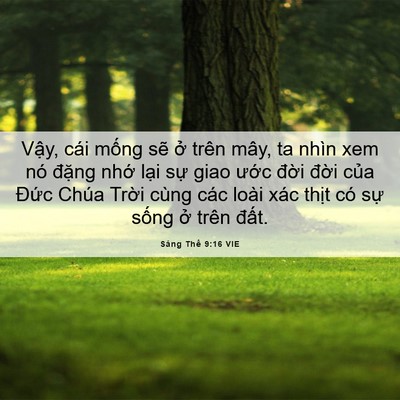 Picture 06 - Sáng Thế 9:16 VIE - Vậy, cái mống sẽ ở trên mây, ta nhìn - Bible Verse Picture