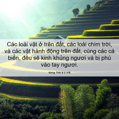 Picture 06 - Sáng Thế 9:2 VIE - Các loài vật ở trên đất, các loài - Bible Verse Picture