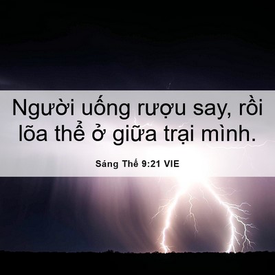 Picture 06 - Sáng Thế 9:21 VIE - Người uống rượu say, rồi lõa thể ở - Bible Verse Picture
