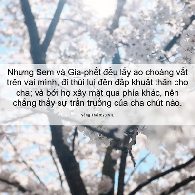 Picture 06 - Sáng Thế 9:23 VIE - Nhưng Sem và Gia-phết đều lấy áo - Bible Verse Picture