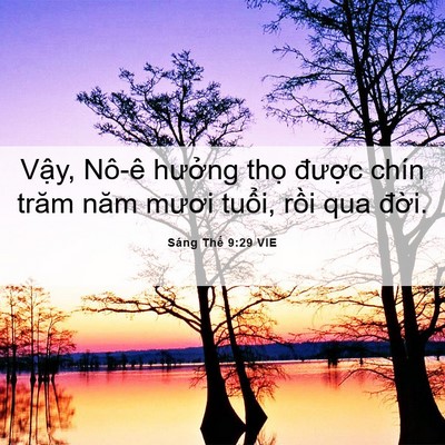 Picture 06 - Sáng Thế 9:29 VIE - Vậy, Nô-ê hưởng thọ được chín trăm - Bible Verse Picture