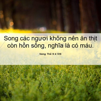 Picture 06 - Sáng Thế 9:4 VIE - Song các ngươi không nên ăn thịt còn - Bible Verse Picture