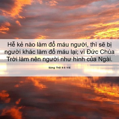 Picture 06 - Sáng Thế 9:6 VIE - Hễ kẻ nào làm đổ máu người, thì - Bible Verse Picture