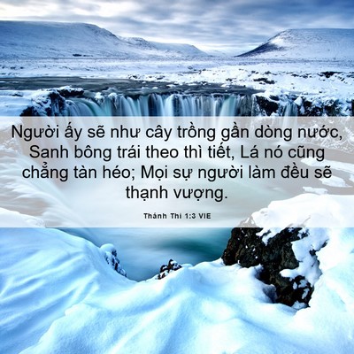Picture 06 - Thánh Thi 1:3 VIE - Người ấy sẽ như cây trồng gần dòng - Bible Verse Picture