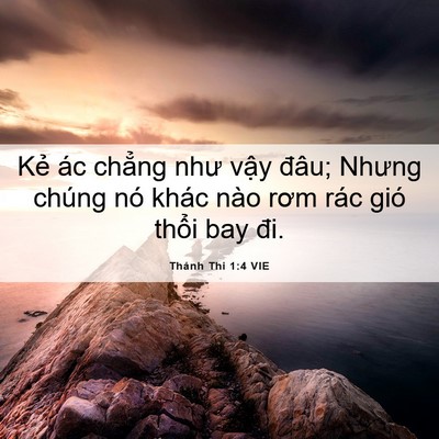 Picture 06 - Thánh Thi 1:4 VIE - Kẻ ác chẳng như vậy đâu; Nhưng chúng - Bible Verse Picture