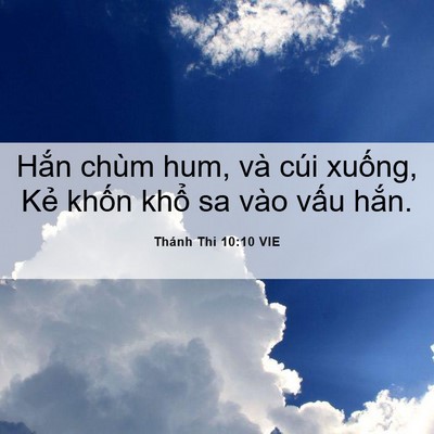 Picture 06 - Thánh Thi 10:10 VIE - Hắn chùm hum, và cúi xuống, Kẻ khốn - Bible Verse Picture