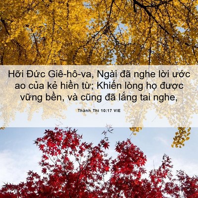 Picture 06 - Thánh Thi 10:17 VIE - Hỡi Đức Giê-hô-va, Ngài đã nghe lời - Bible Verse Picture
