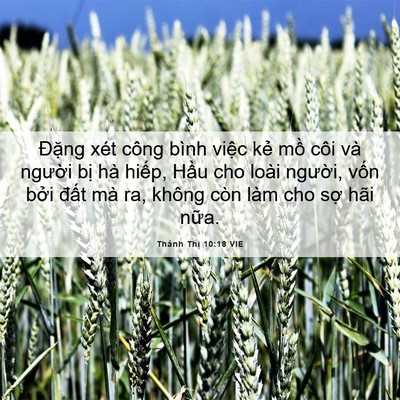 Picture 06 - Thánh Thi 10:18 VIE - Đặng xét công bình việc kẻ mồ côi - Bible Verse Picture