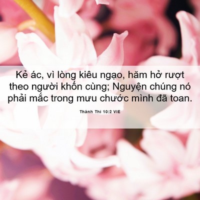 Picture 06 - Thánh Thi 10:2 VIE - Kẻ ác, vì lòng kiêu ngạo, hăm hở - Bible Verse Picture